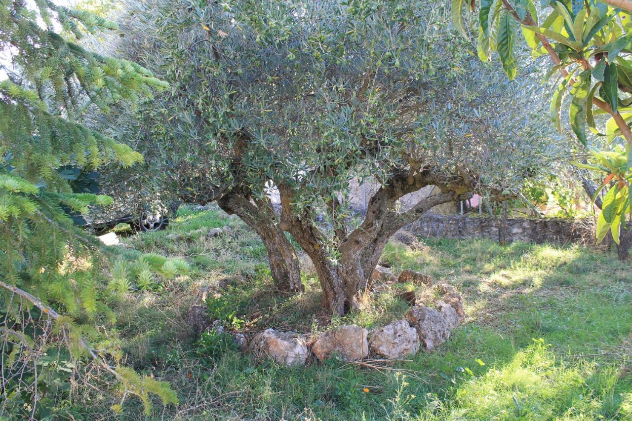 Casa Rural Baobab Romancos Eksteriør bilde