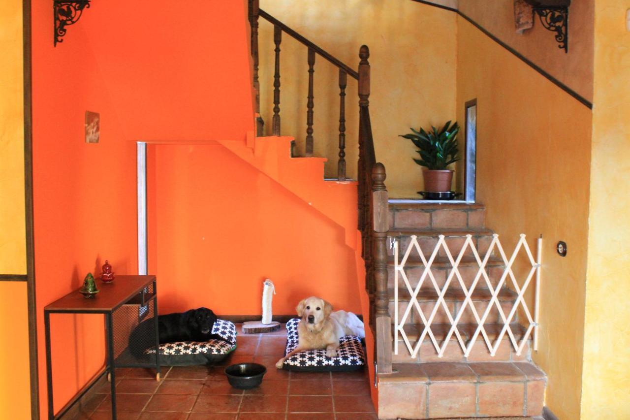 Casa Rural Baobab Romancos Eksteriør bilde